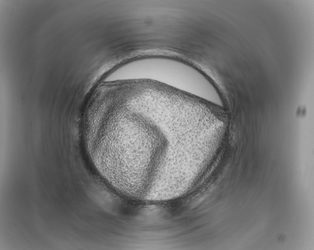 X0000090600111200708141339