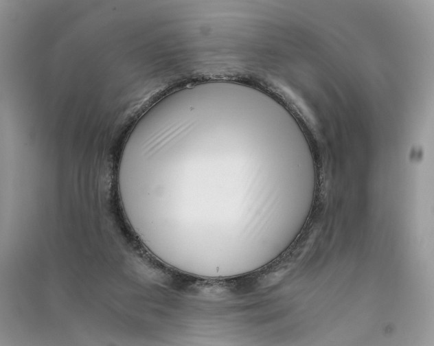 X0000090600113200708141339