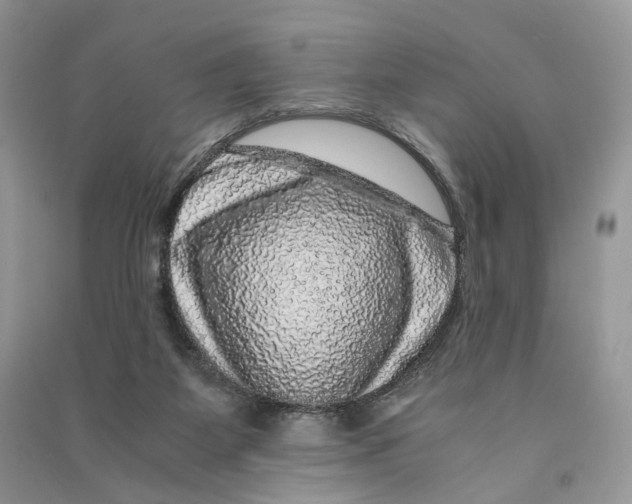 X0000090600115200708141339