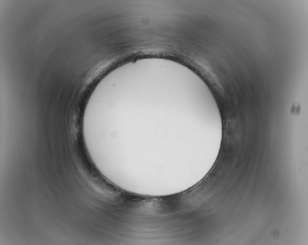 X0000090600116200708141339