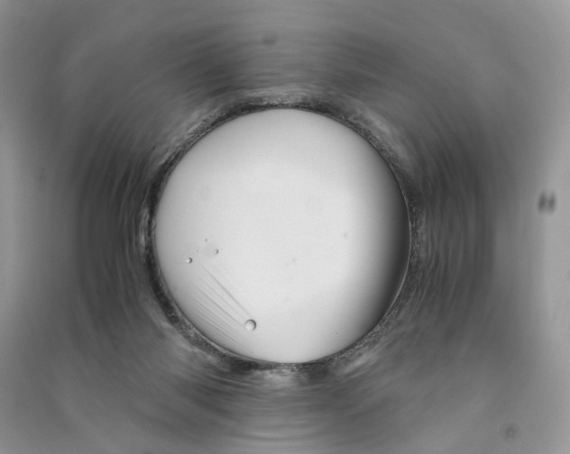 X0000090600118200708141339