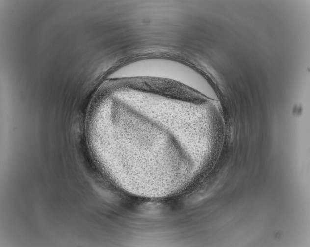 X0000090600119200708141339