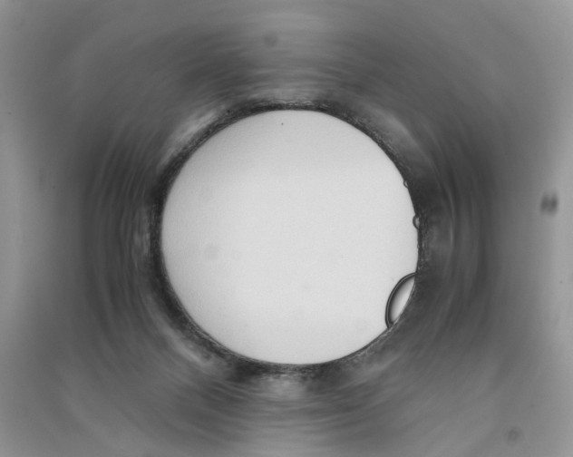 X0000090600120200708141339