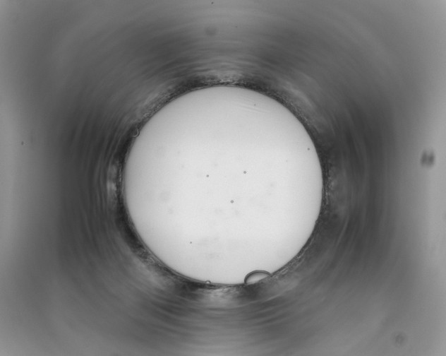 X0000090600122200708141339