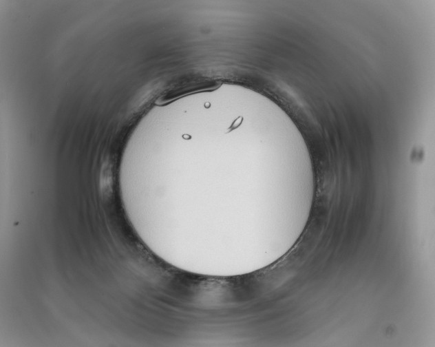 X0000090600124200708141339