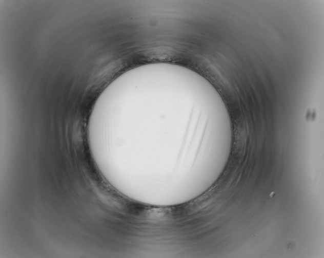 X0000090600126200708141338