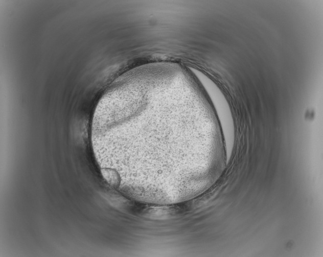 X0000090600127200708141338