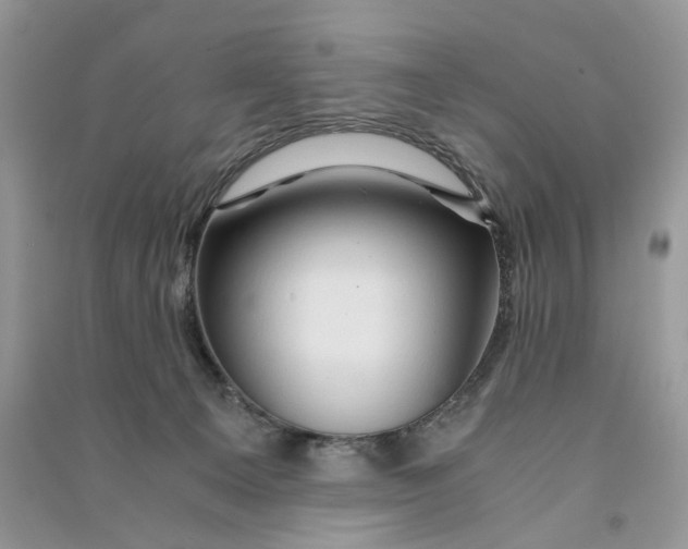 X0000090600129200708141338