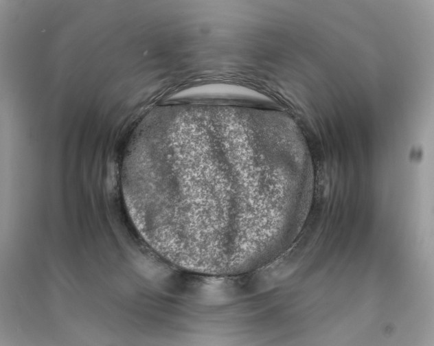 X0000090600130200708141338