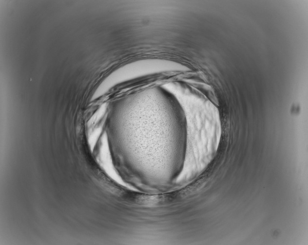 X0000090600131200708141338