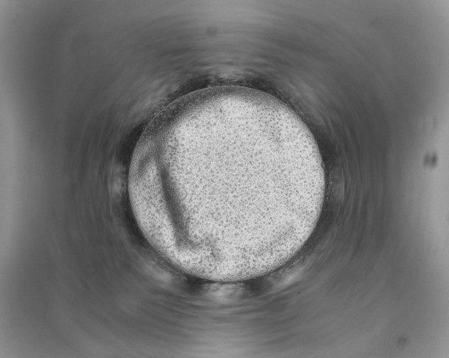 X0000090600135200708141338