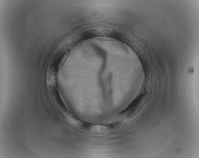 X0000090600137200708141338