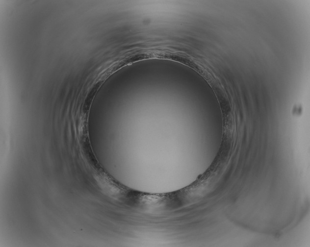 X0000090600139200708141338