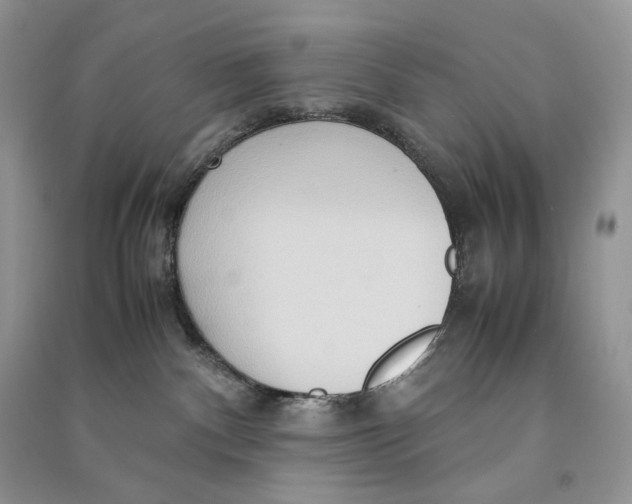 X0000090600140200708141338