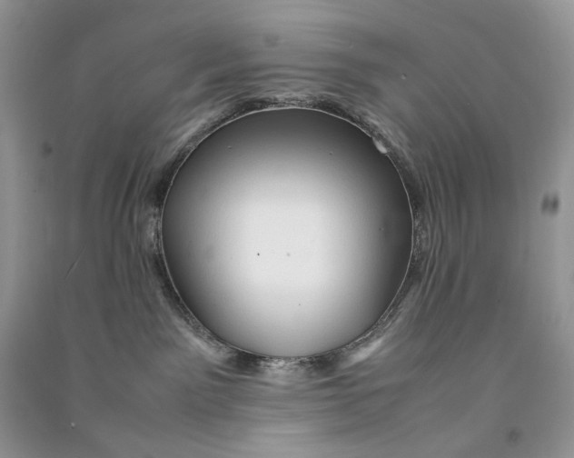 X0000090600141200708141338