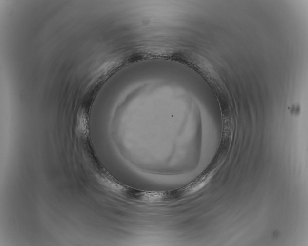 X0000090600143200708141338