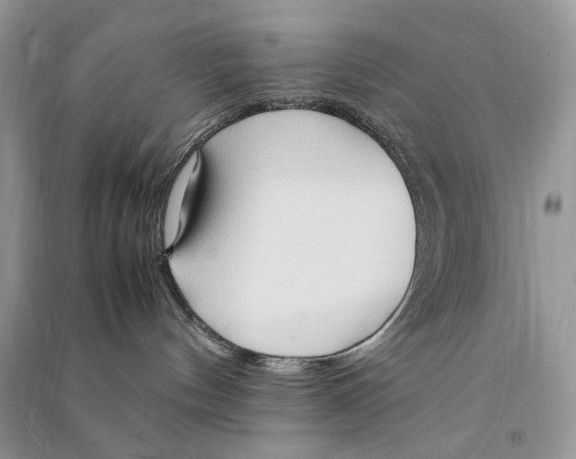 X0000090600144200708141338