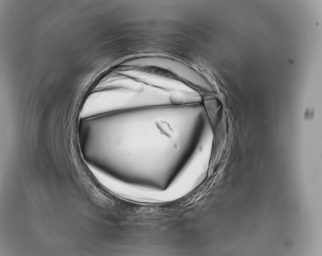 X0000090600145200708141338