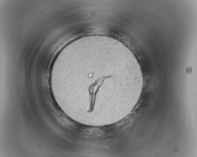 X0000090600146200708141338