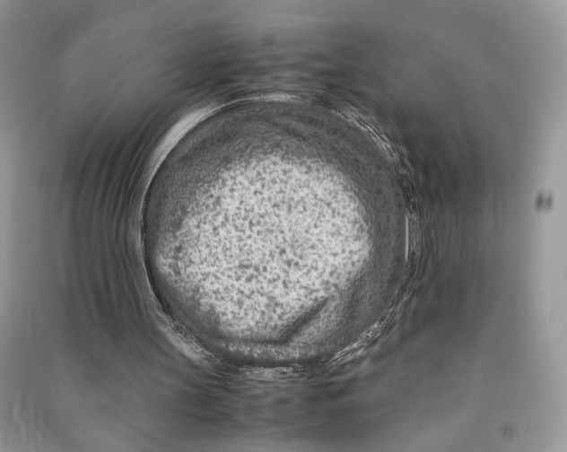 X0000090600147200708141338