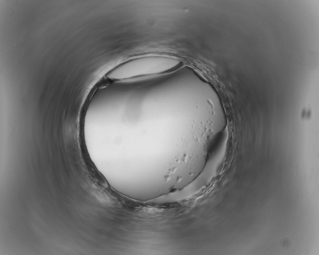 X0000090600148200708141338