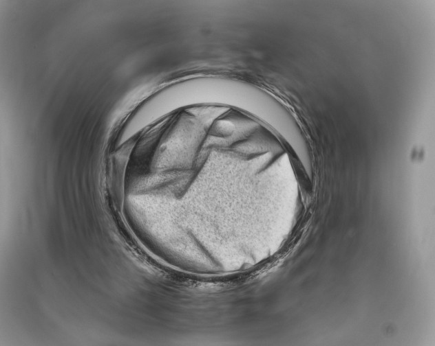 X0000090600149200708141338