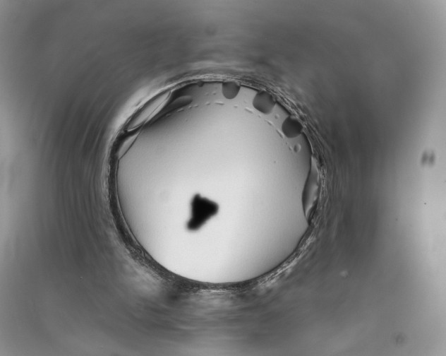 X0000090600150200708141338