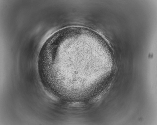 X0000090600151200708141338