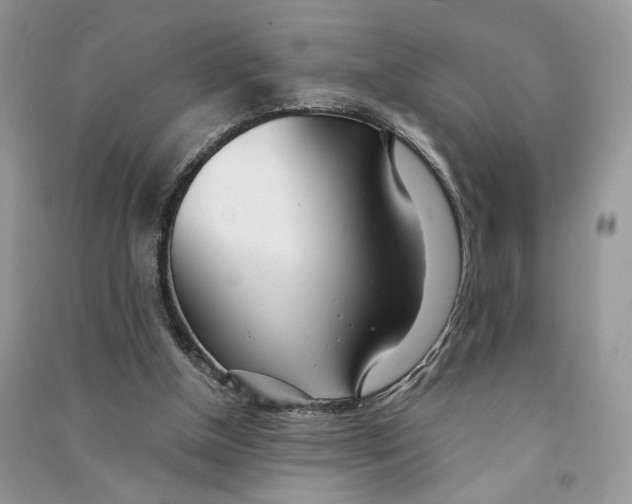 X0000090600154200708141338