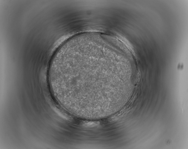 X0000090600155200708141338