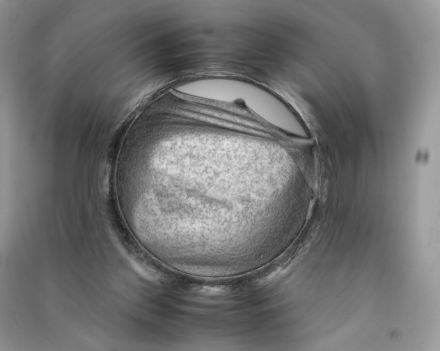 X0000090600157200708141338