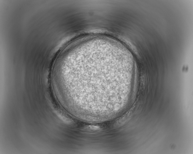 X0000090600159200708141338