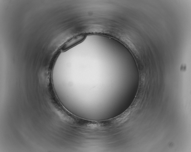 X0000090600160200708141338