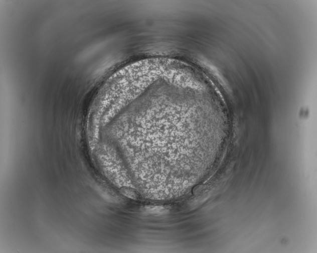 X0000090600161200708141338