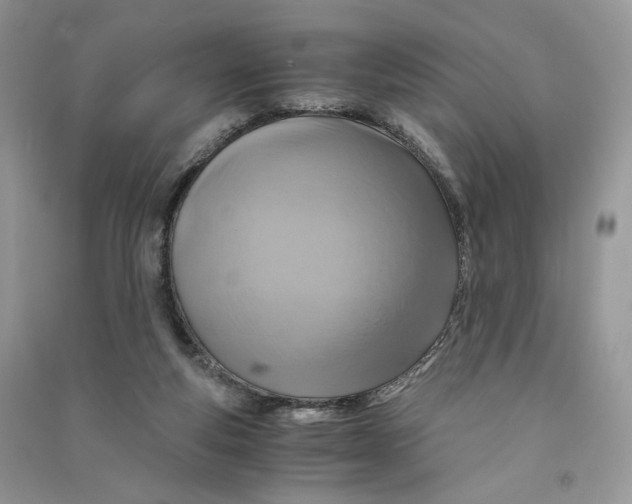 X0000090600163200708141338