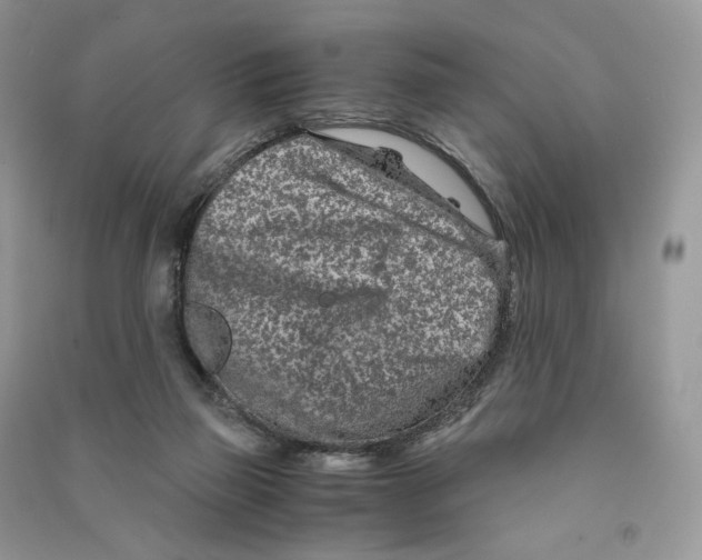 X0000090600165200708141338