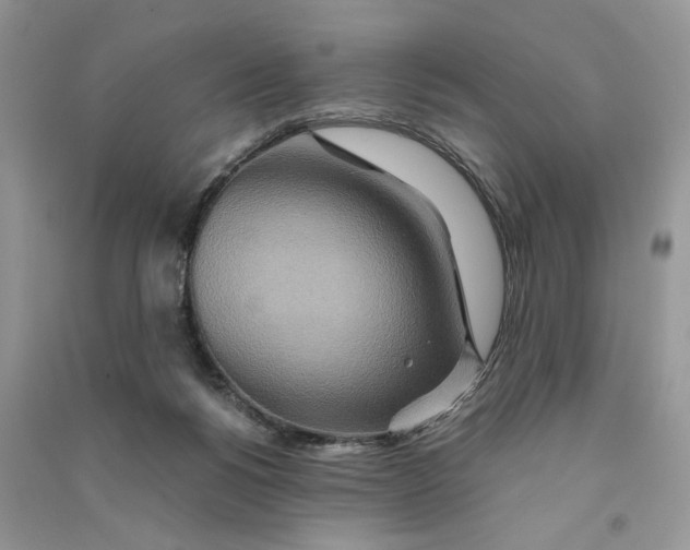 X0000090600168200708141338