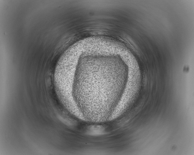 X0000090600169200708141338