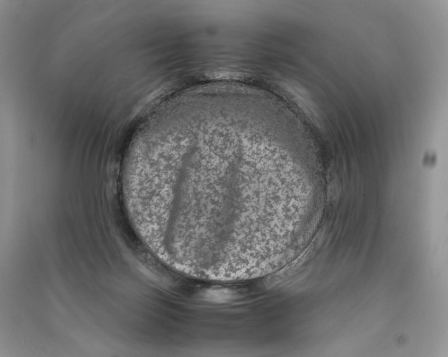 X0000090600171200708141338