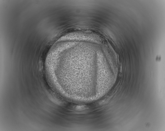 X0000090600173200708141338