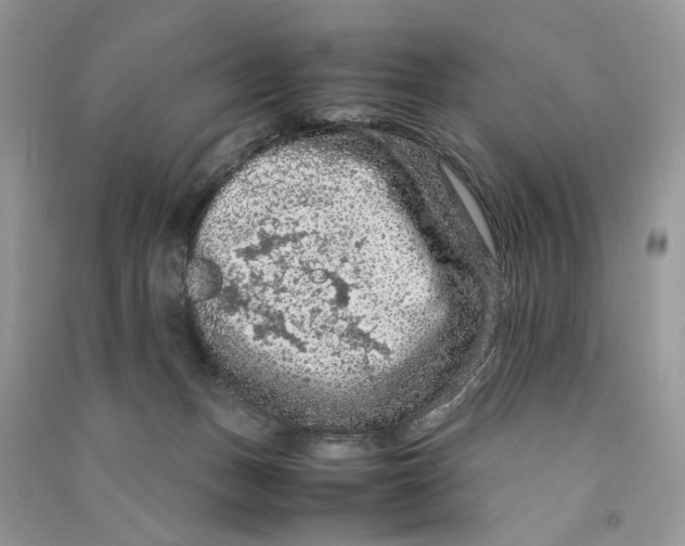 X0000090600175200708141338