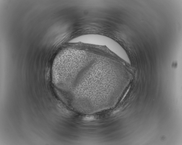 X0000090600177200708141338