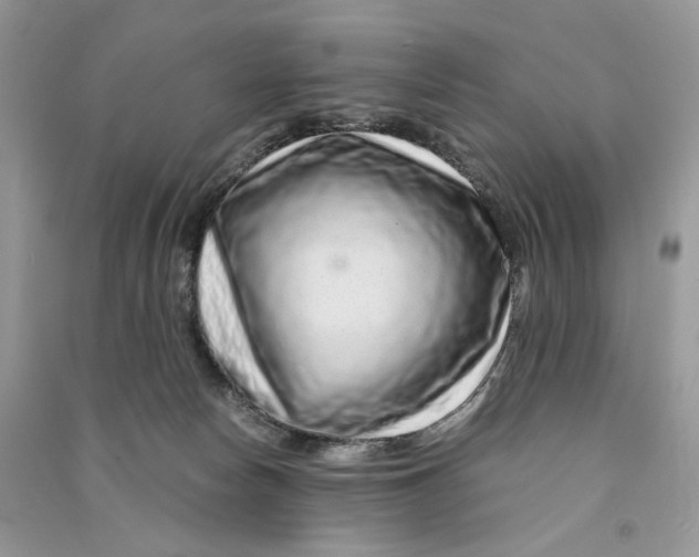 X0000090600178200708141338