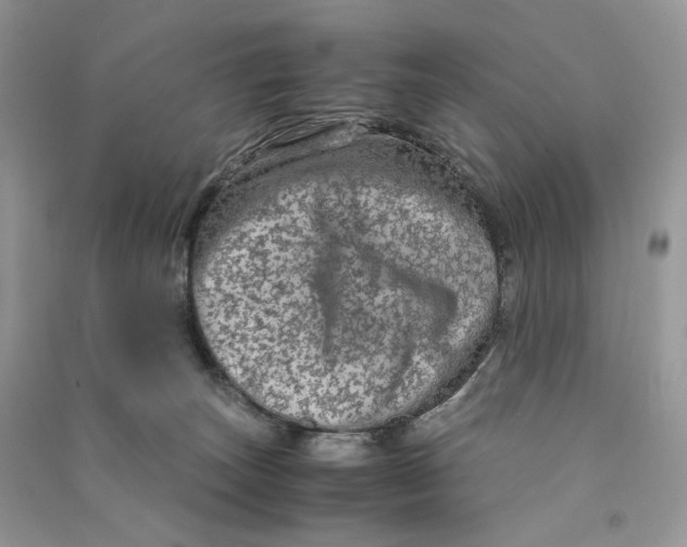 X0000090600179200708141338