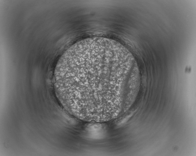 X0000090600181200708141338