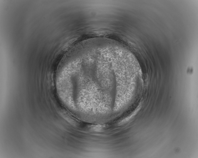 X0000090600182200708141338