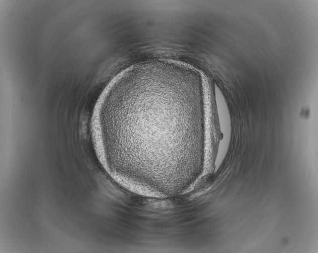 X0000090600185200708141338