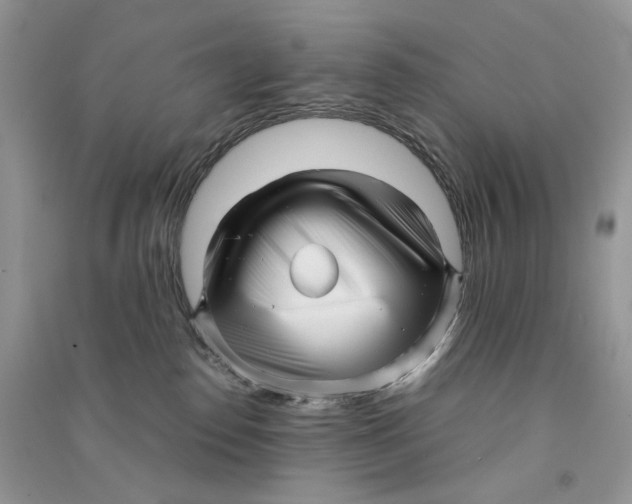 X0000090600186200708141338