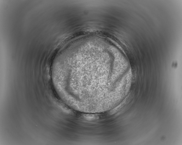 X0000090600187200708141338