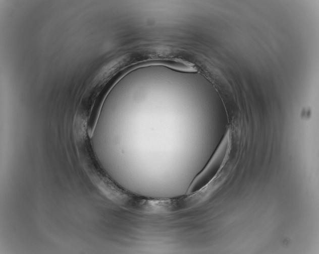 X0000090600188200708141338